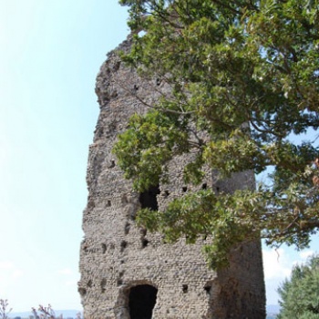 La Torre d’avvistamento, il simbolo dell’azienda di Vittorio e Cesare Colognesi.
