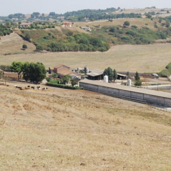 Veduta panoramica dell’Azienda.