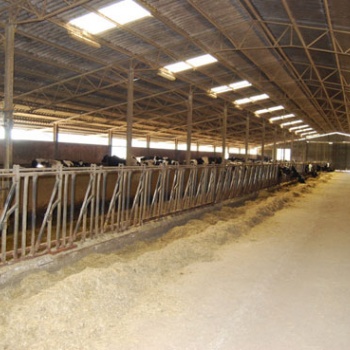 Ricovero bestiame.