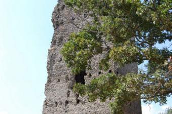 La Torre d’avvistamento, il simbolo dell’azienda di Vittorio e Cesare Colognesi.