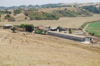 Veduta panoramica dell’Azienda.