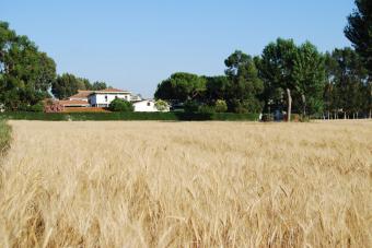 La Fattoria Latte Sano e la Riserva del Litorale Romano