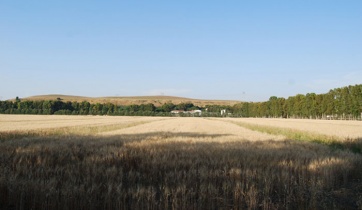 Riserva Litorale Romano