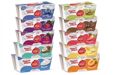 Yogurt intero